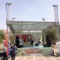 Dulkadiroğlu Belediyesi Şıra Festivali (2)